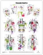 Will Trigger Points Go Away?