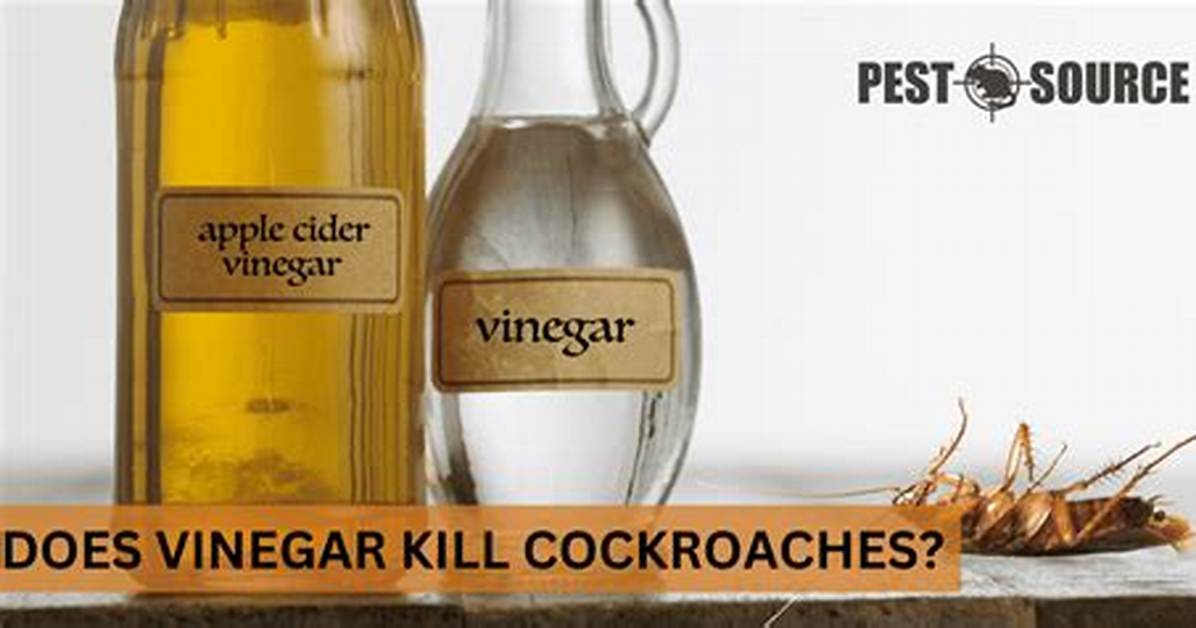 Will Vinegar Kill Insecticides?