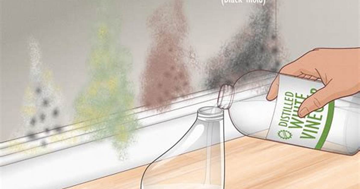 Will Vinegar Kill Mold
