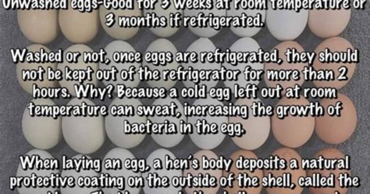 Will Washed Eggs Hatch?