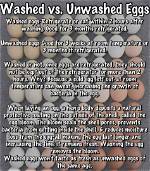 Will Washed Eggs Hatch?