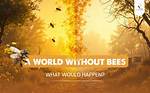 Will We Die Without Bees?