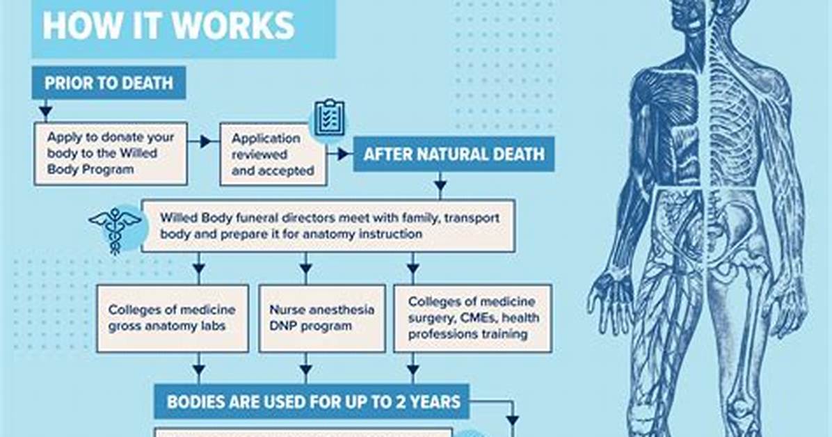 Willed Body Program