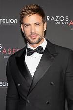 William Levy Biography