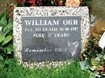 William Orr