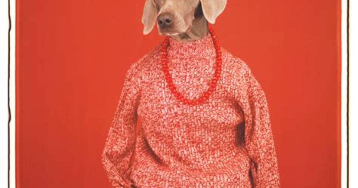 William Wegman