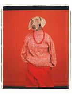 William Wegman
