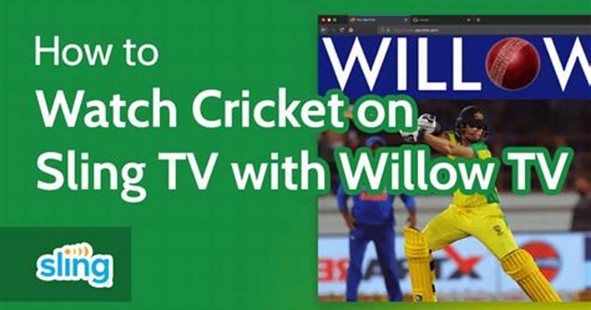 Willow Tv Schedule