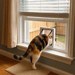 Window Cat Door