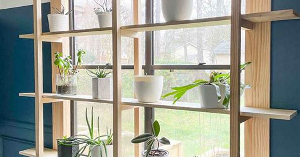 Window Shelves