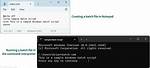 Windows Batch File, Wait for Command to Finish?