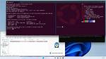 Windows Subsystem for Linux (Wsl) - Get Default Version