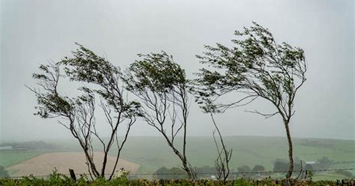Winds Up