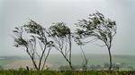 Winds Up