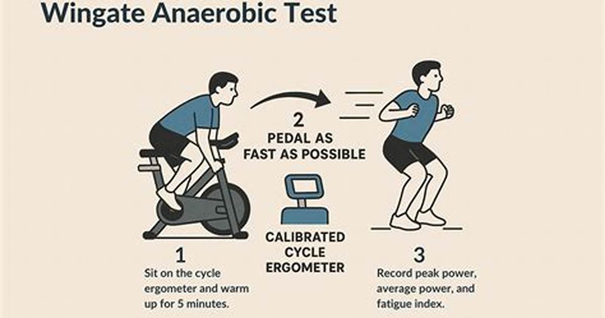 Wingate Test