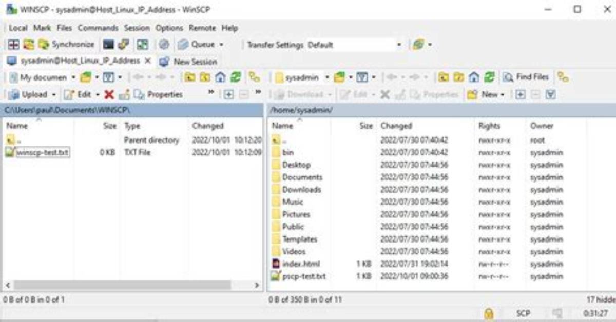 Winscp for Linux
