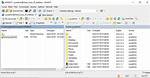 Winscp for Linux