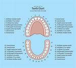 Wisdom Teeth Numbers