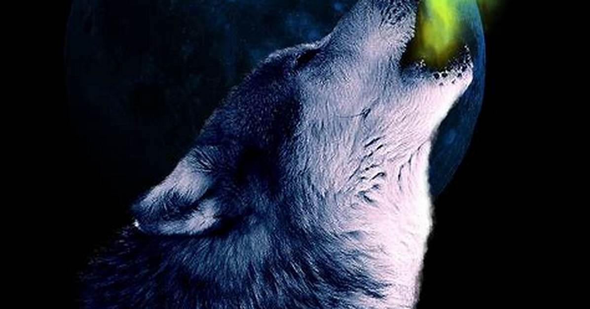 Wolf's Wail