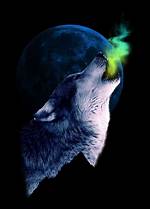 Wolf's Wail