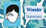 Wonder Summary