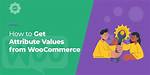 Woocommerce Get Attribute Terms