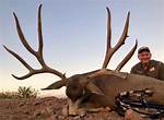World Record Mule Deer
