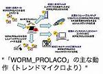 Worm. Prolaco