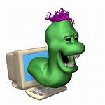 Worm. Vb