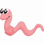 Worm. Whiteice