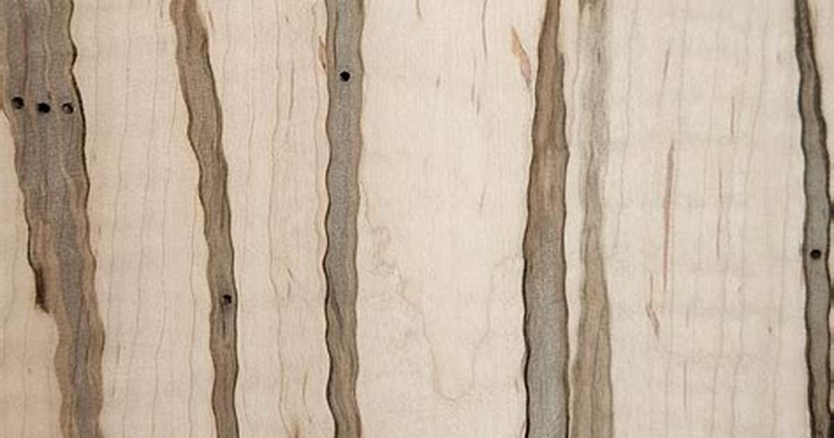 Wormy Maple