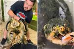 Would a Snapping Turtle Kill a Human?