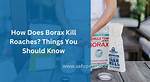 Would Borax Kill You?