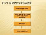 Would Breeding in Captivity Be a Solution?