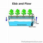 Would Ebb and Flow?