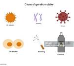 Would Radiation Cause Mutation?