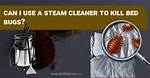 Would Steam Kill Bed Bugs?