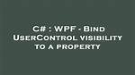Wpf Bind to Itself