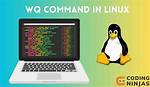 : Wq! Command in Vim
