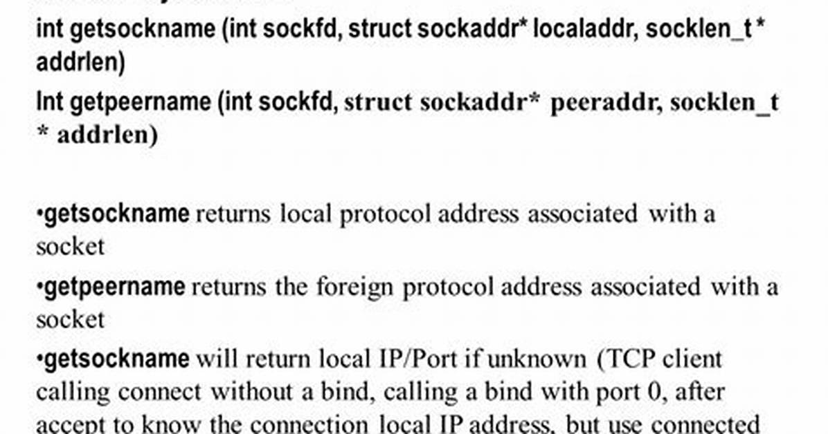 Wsaefault Error When Use Getsockname Function