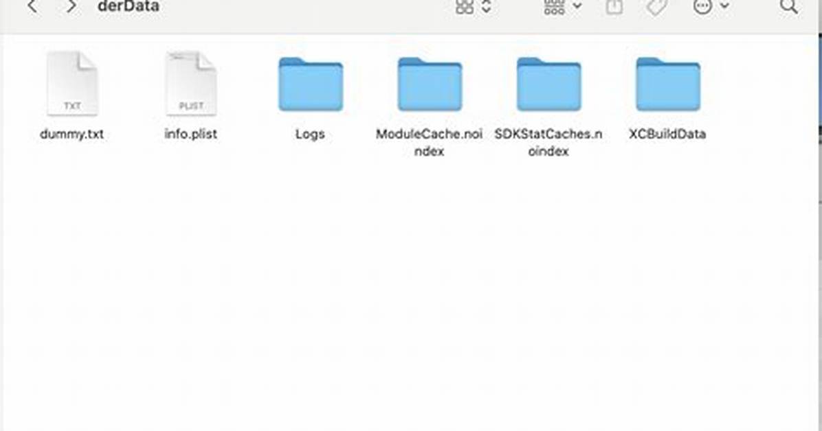 Xcodebuild Ignoring -derivedDataPath