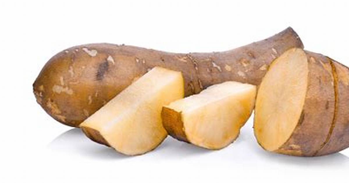 Yacon Potato