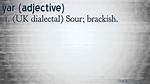 Yar Definition
