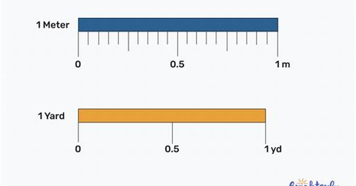 Yard vs Meter