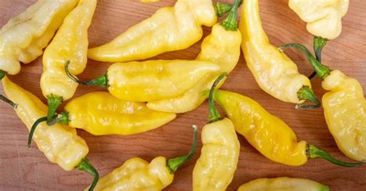 Yellow Chile