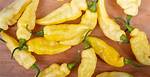 Yellow Chile