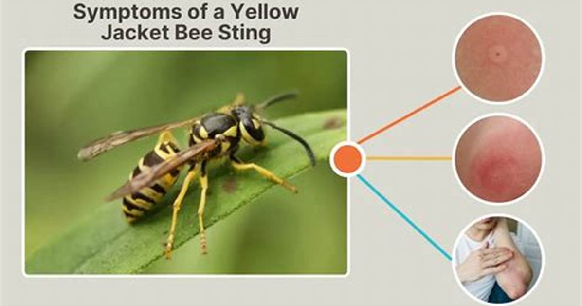 Yellow Jacket for Example