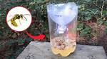 Yellow Jacket Trap