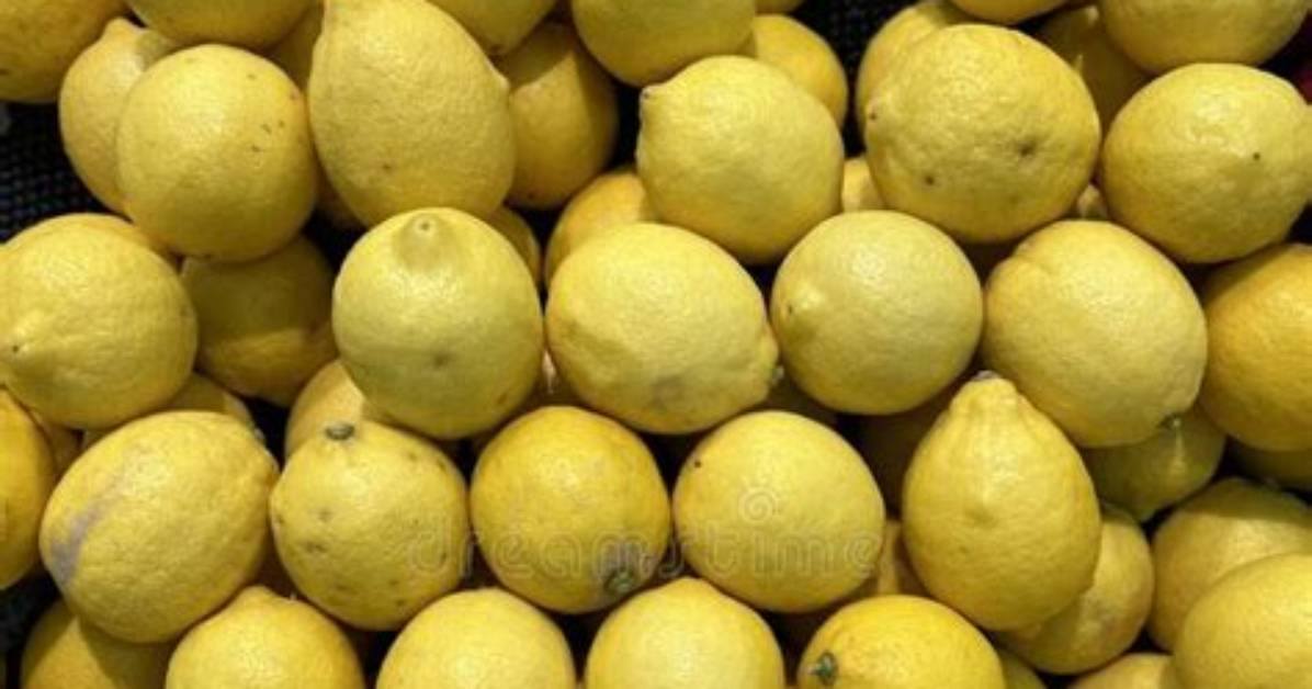 Yellow Lime