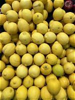 Yellow Lime